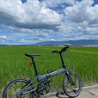 アドマイヤムーン