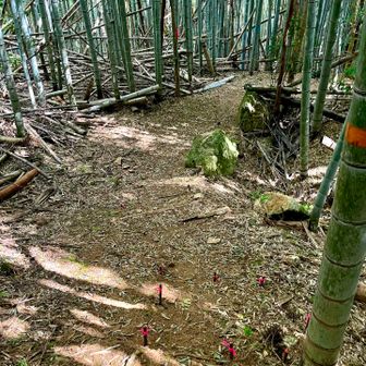馬山への道がいまいち分からずウロウロしてたけど、ココか💦