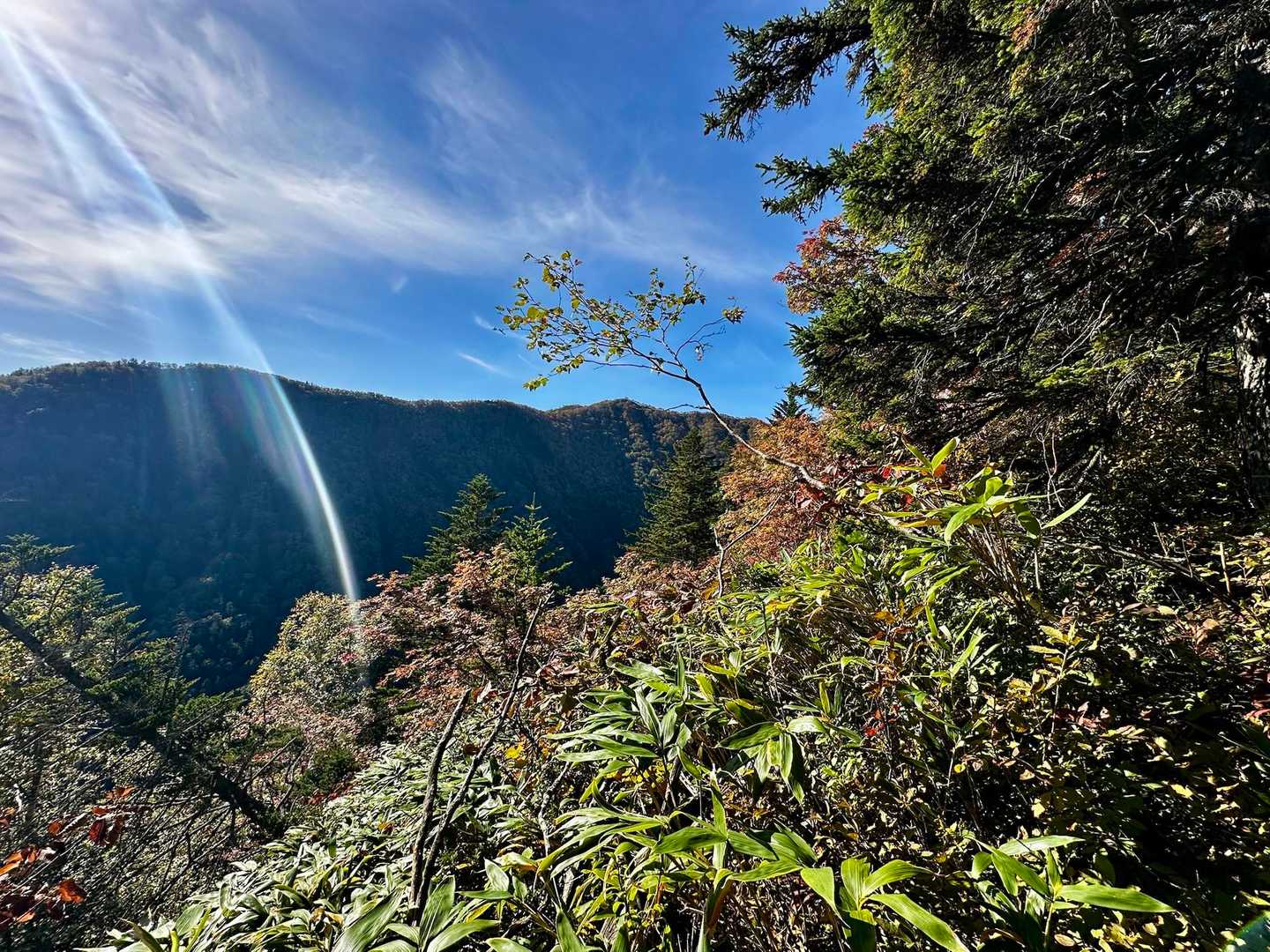 キャンプ場登山口-ウェンシリ岳 往復コースの写真