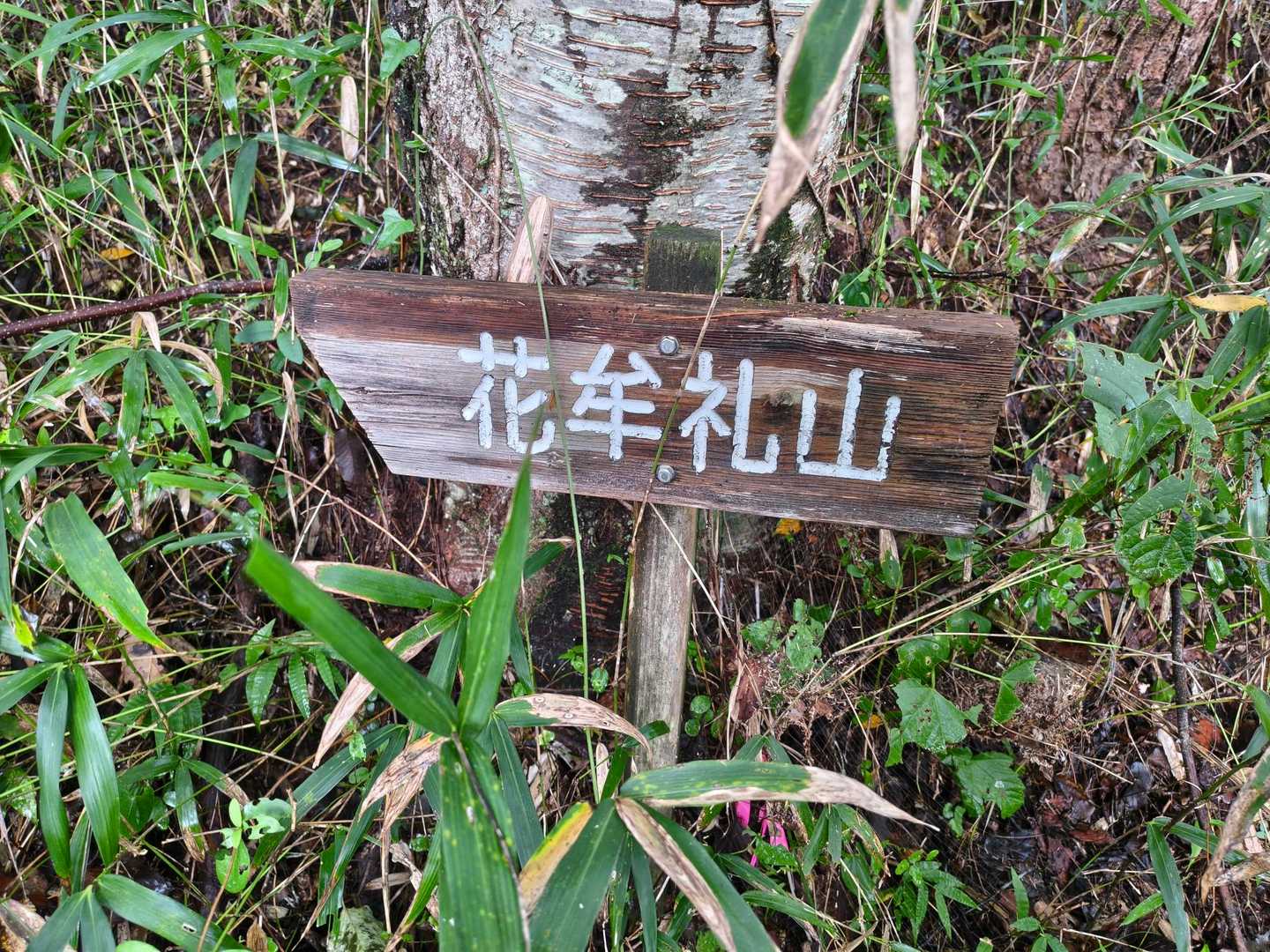 突き当たりに案内板🈶