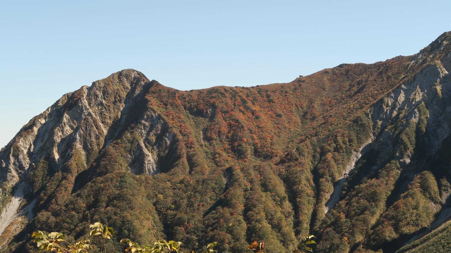ユートピア小屋付近の山肌が色づいてる👀