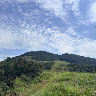 風が気持ちいい