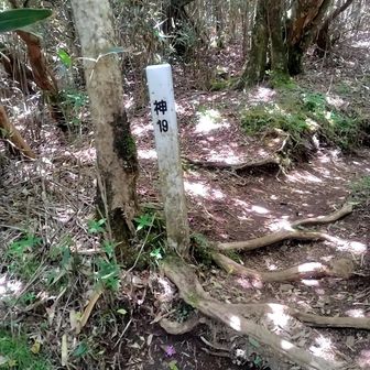 神19 そろそろ山頂
微かに硫黄の匂い