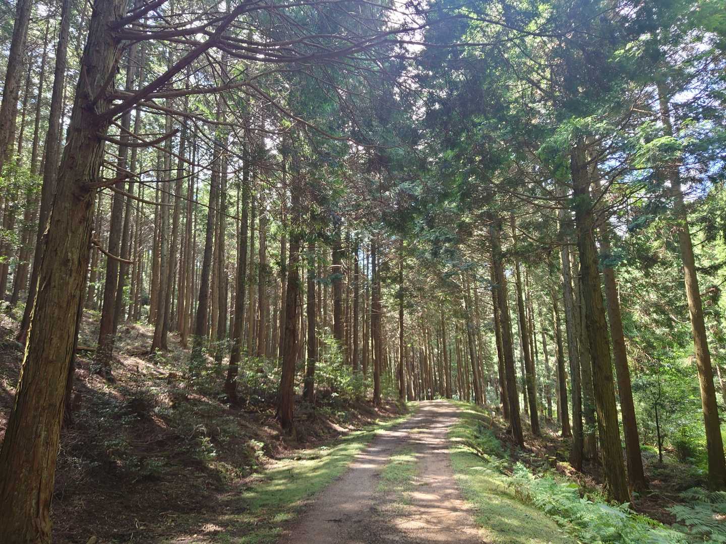 黒木山 周回コースの写真