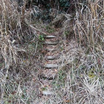 笹が茂っていましたが全体的に歩きやすい道（下りだからか）