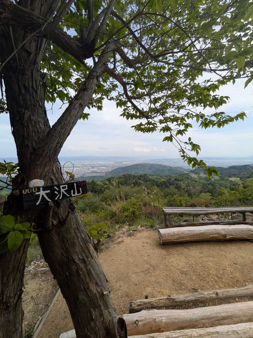 初めて来た大沢山　景色善き
