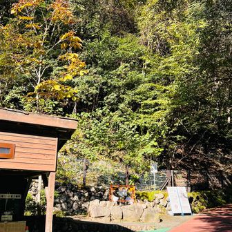 えええ、都民の森の看板が無くなってる！？