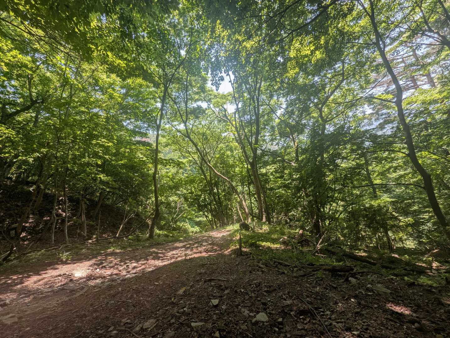 三徳山 往復コースの写真