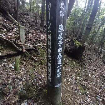史跡旧参道の階段を下り勝尾寺へ。