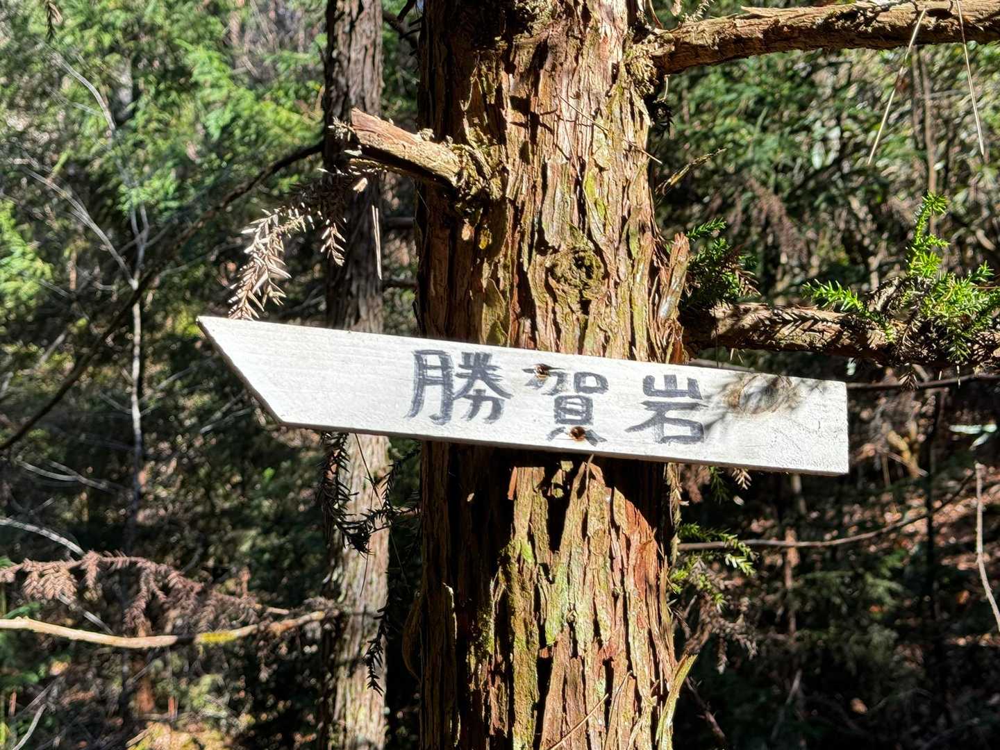 案内あるし、
道もちゃんとしています⬅️