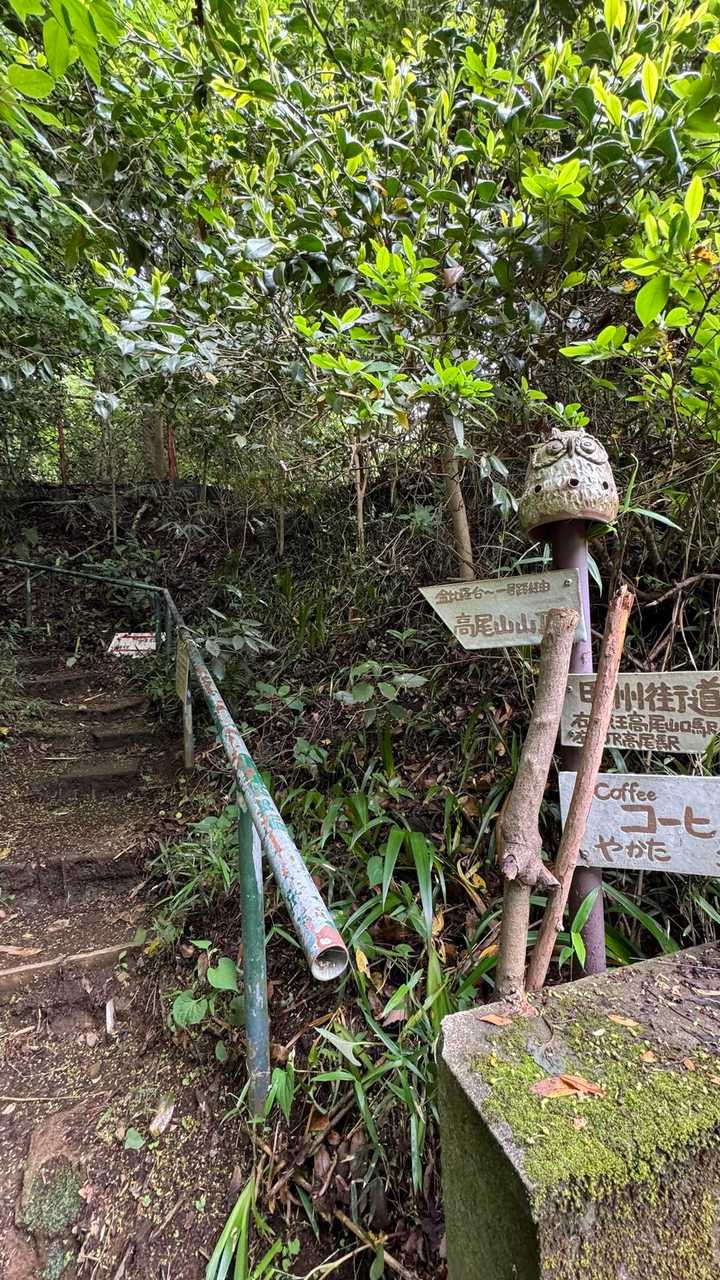 高尾山、ビアマウントハイク‘26春 の写真 2