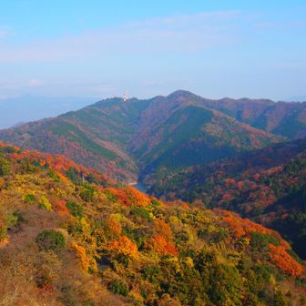 まだまだ紅葉🍁してます