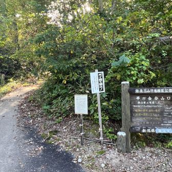 無事下山
距離標高差の割に疲労感少なめ
いい山だった