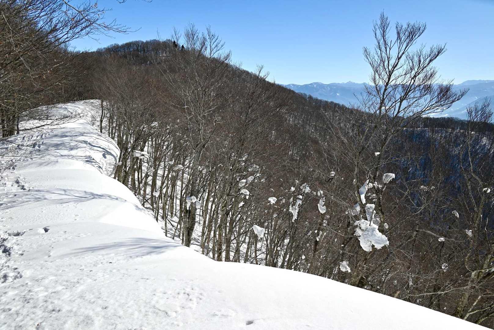 そんじゃ下山しましょう

尾根の美しい雪庇と野沢温泉がある山々を
眺めながら帰りまーす

今日は朝から何も食べていないのでいつも以上に
腹が減ってきたよ