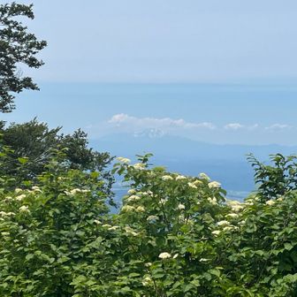 山頂から鳥海山も見えました🤩