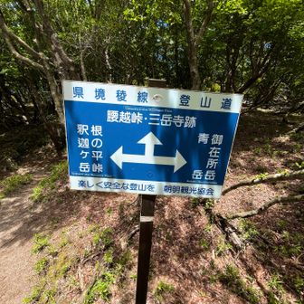 根の平峠へ向かって