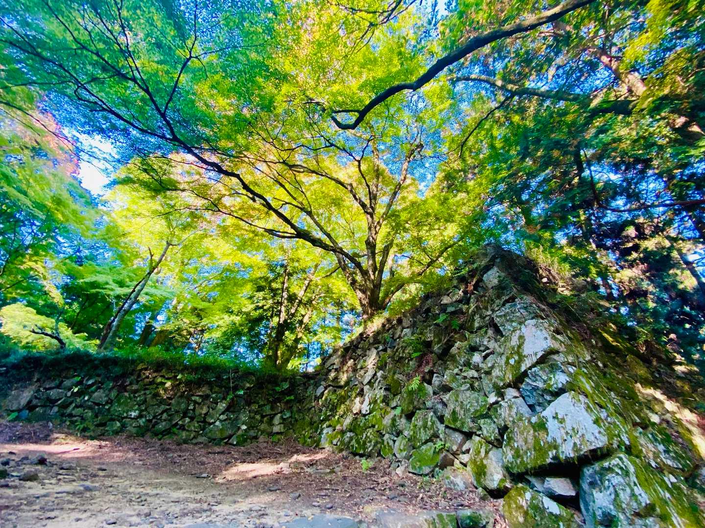 高取山-高取城跡入口 周回コースの写真