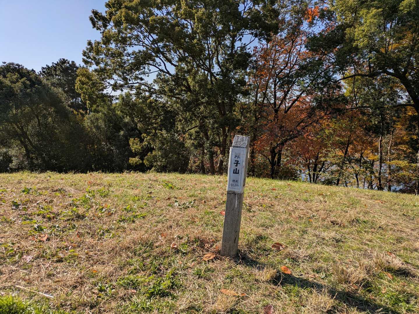 双子山33.3ｍ、登頂でございます。