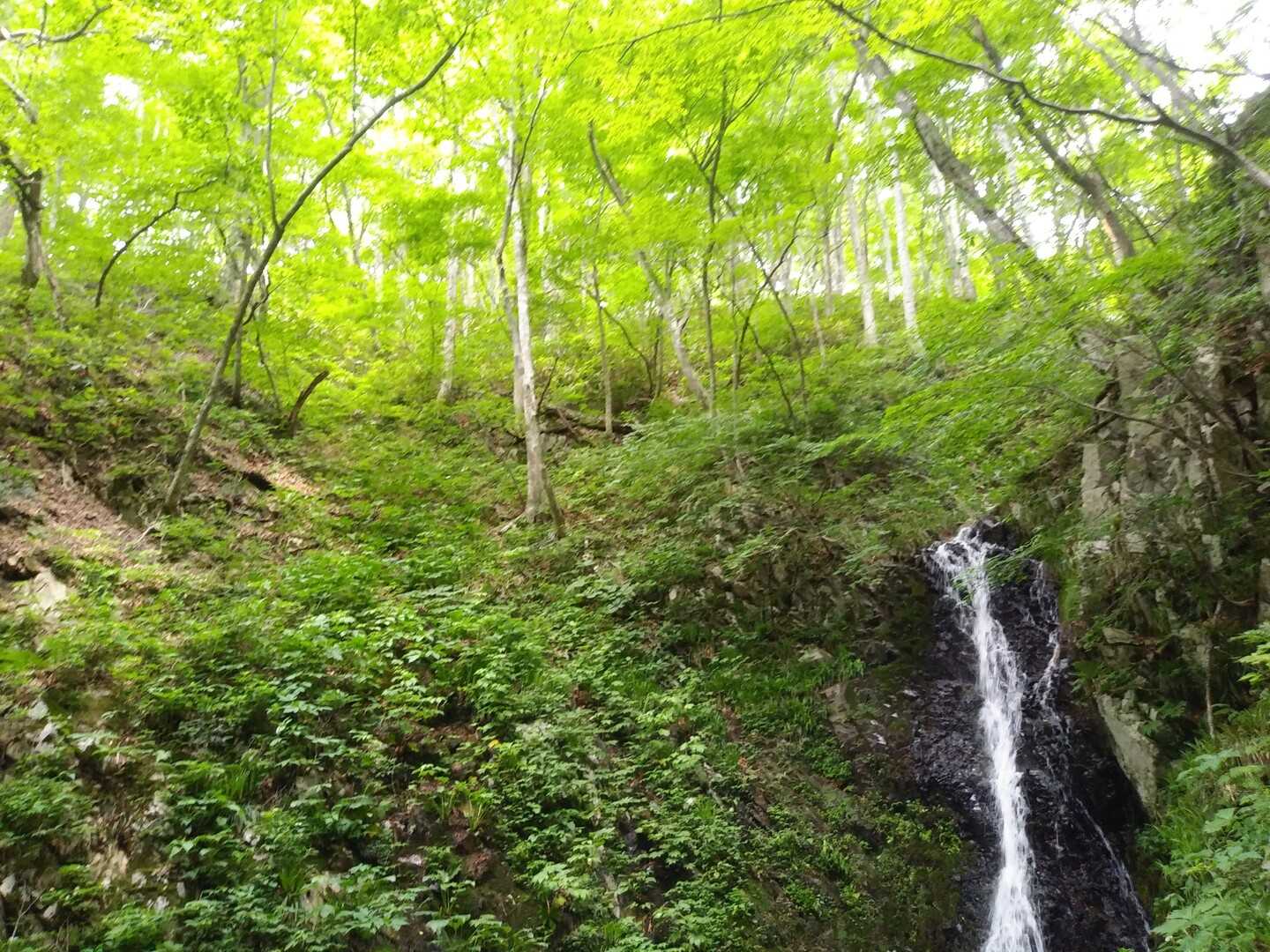 牛曳山の写真