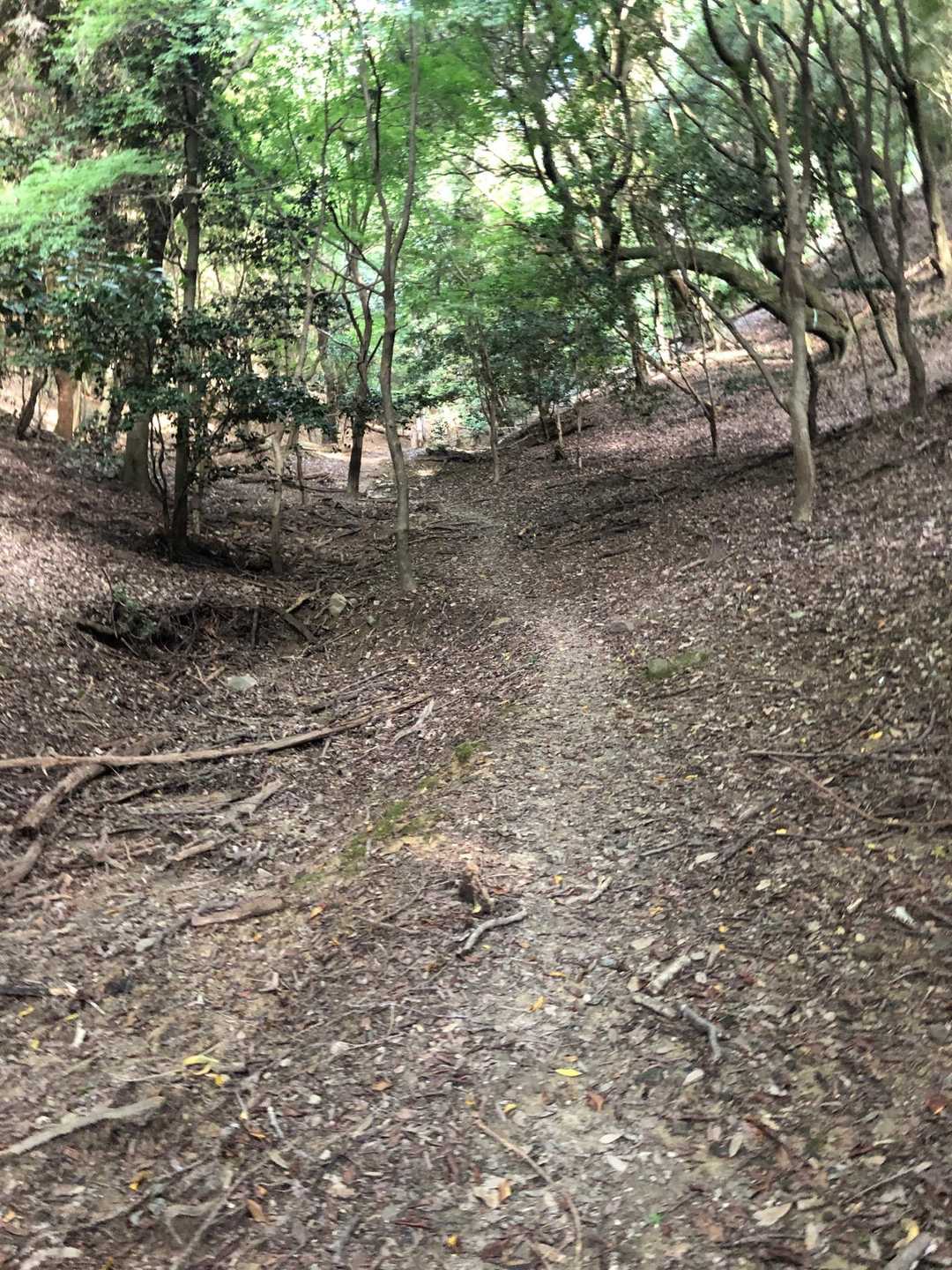 三国峠-石子詰登山口 周回コースの写真