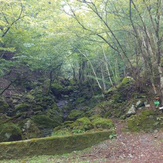 マナコ谷登山口に到着