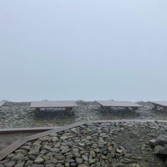 雨が少し強くなってきた