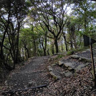 岩屋権現からの登山道と合流
嵩山の山頂は右に進むんだけど、直進して展望テラスに行きます。そしてここまで戻って来て山頂へ行きます。