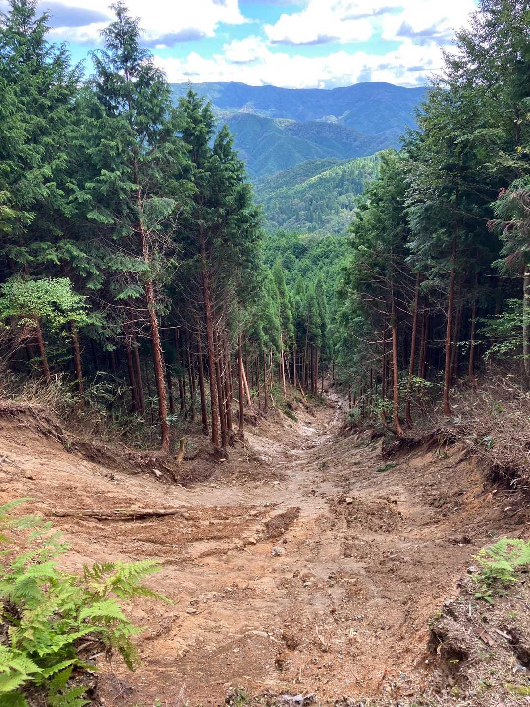 土砂崩れしてる😱