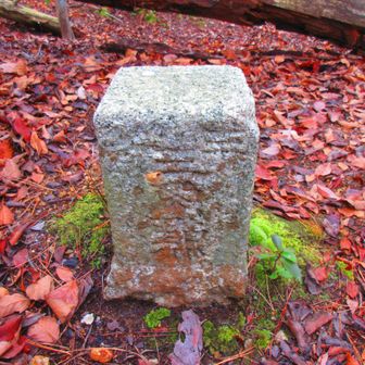 三等三角点
点名：地極谷
標高：340.56 m