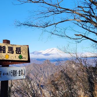 相馬岳山頂
貸し切り。山頂まで一人しか会いませんでした。