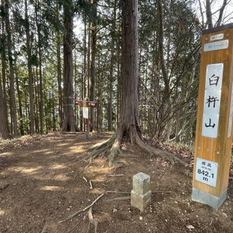 臼杵山に到着、キツい登りでした。
戸倉三山の1つだそうです。