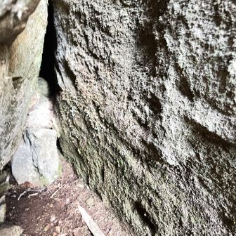 よく分からん😛