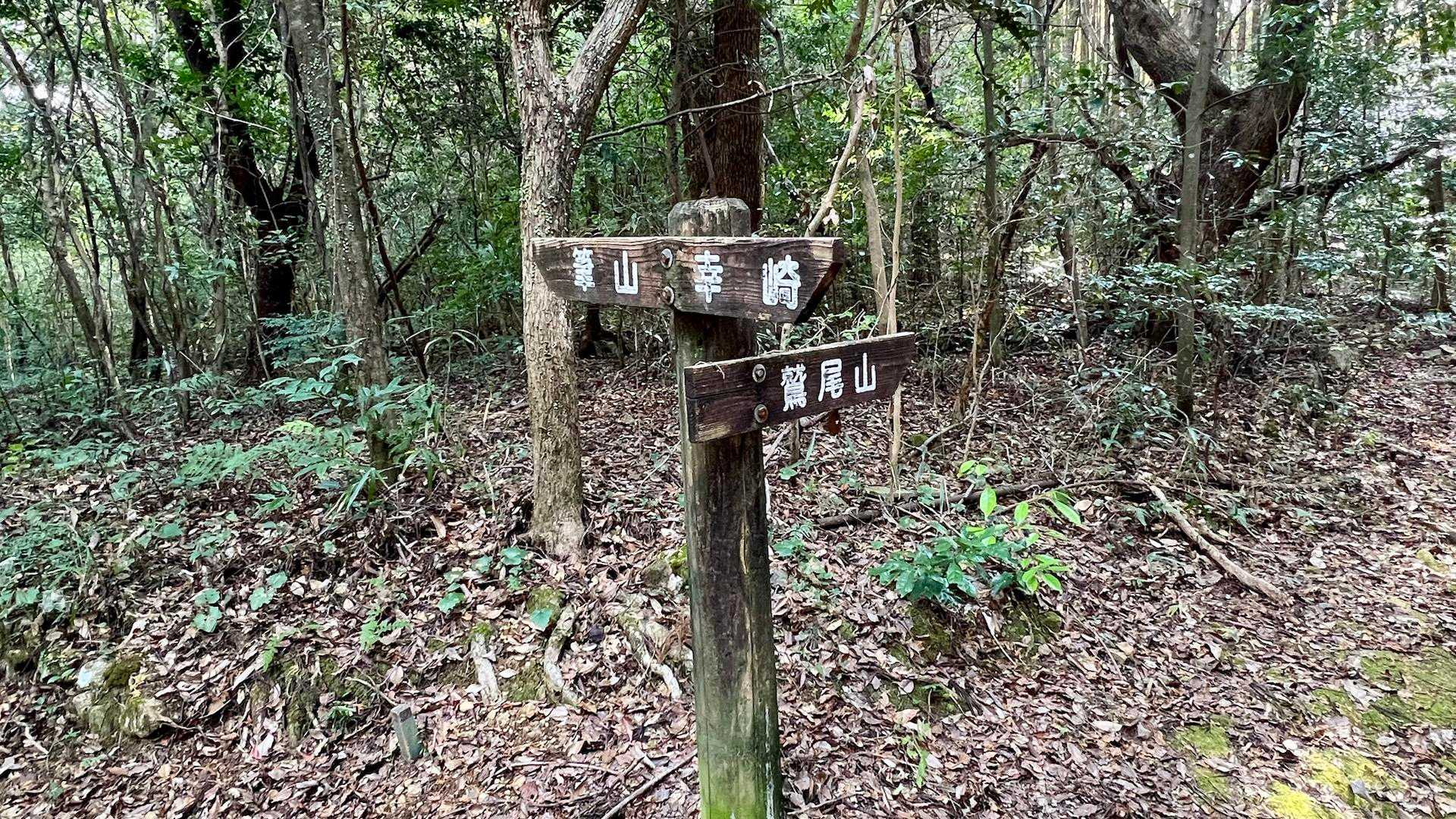 皿ヶ峰-鷲尾山-烏帽子山-白土峠-柏尾山 往復コースの写真