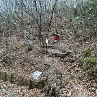 地蔵登山口からスタート
