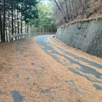 12/8〜4/3は登山口近くの分岐から冬季車両通行止めで山頂のキャンプ場まで車で行けない⛔️
だいぶ下の駐車場から歩かないとだけど、怪我のリハビリ中でまだ足が痛む山友さんと一緒なので登山口まで車で来て広いところに路駐。