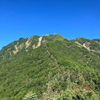 横岳を捉えました。