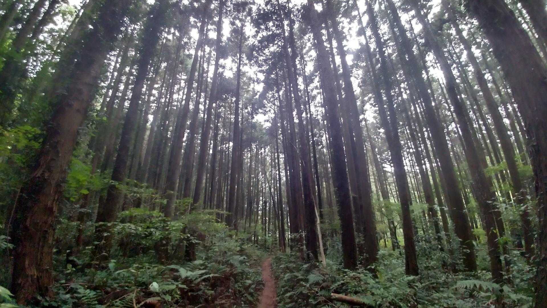 短時間でしたが道に変化はあるし貸切だし✨とっても充実の山行となりました⤴️