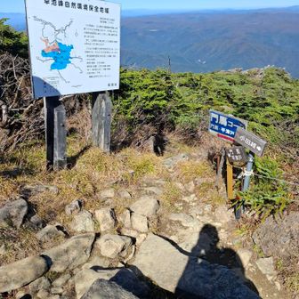 門馬コースとの分岐