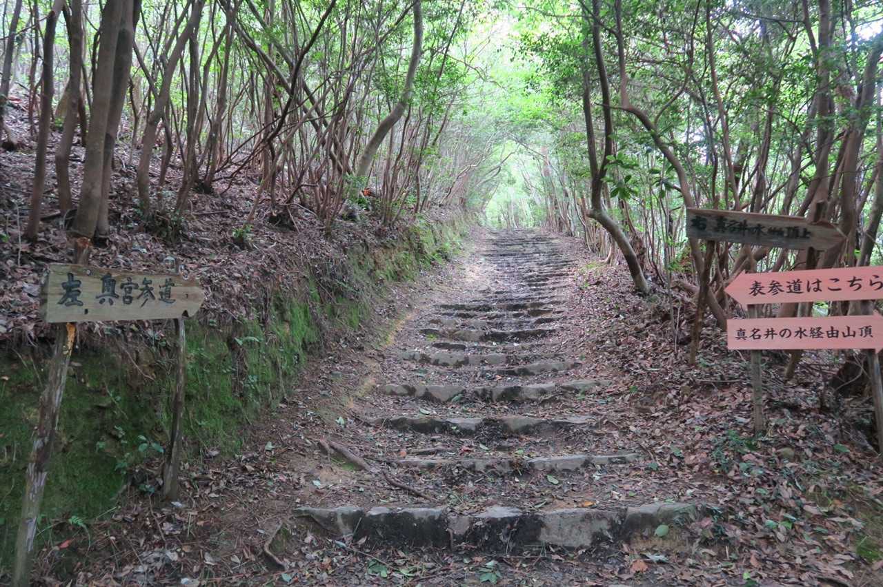 大麻山 往復コースの写真
