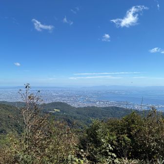 展望台からの景色
