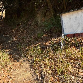 ピストンで同じ道を登り返します