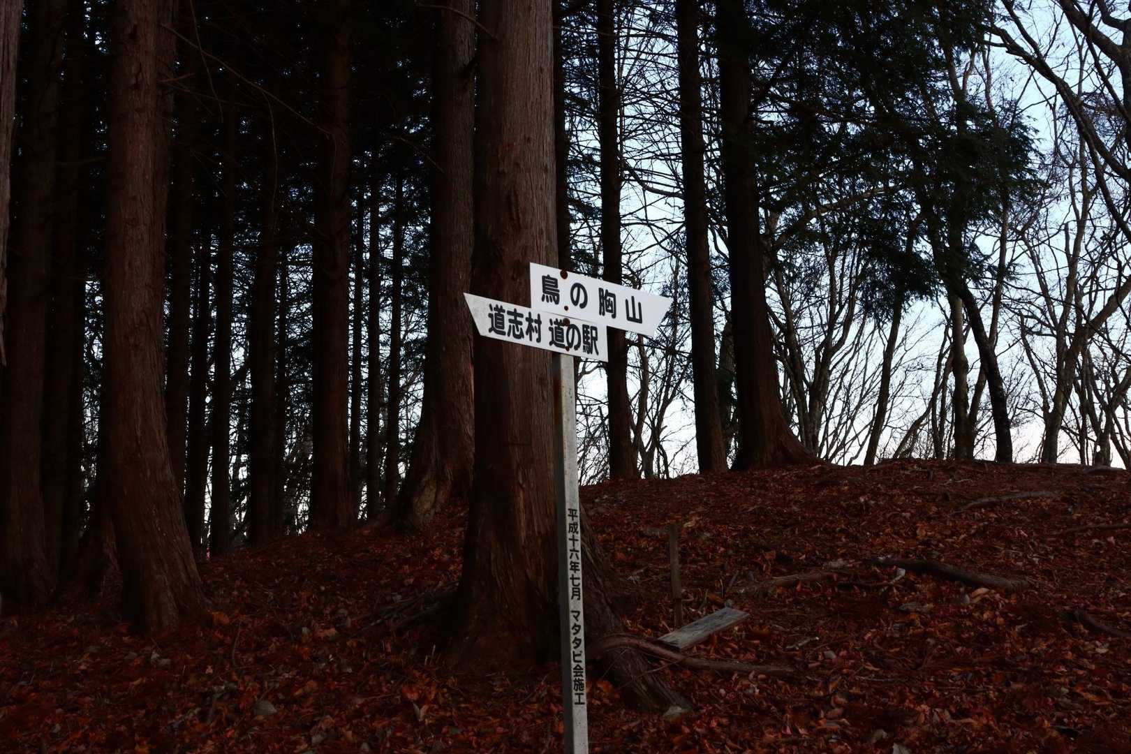案内もあってちょいちょい登山者もいそうでした。