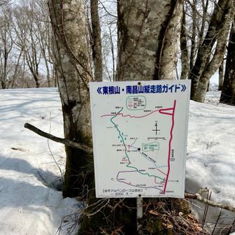 猫の背コースへ