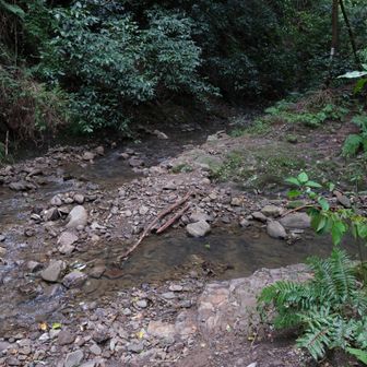 ここ
数方向からのルートが交わります
楽ちんなのはここまで
ここから先の森戸川源流ルートは険しくなってます里山を舐めたらいけませんね🚧