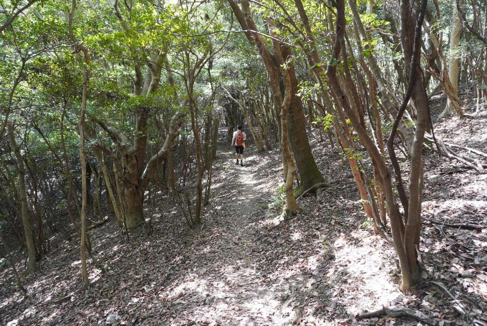 走って去っていく


ま、

まってくれーぃ！！