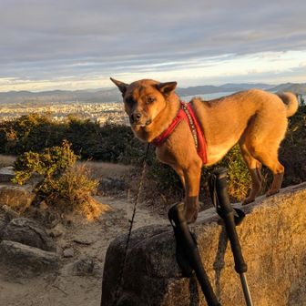 東峰に戻ってきた。