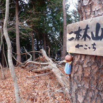 ここにも案内
迷いやすいので助かる