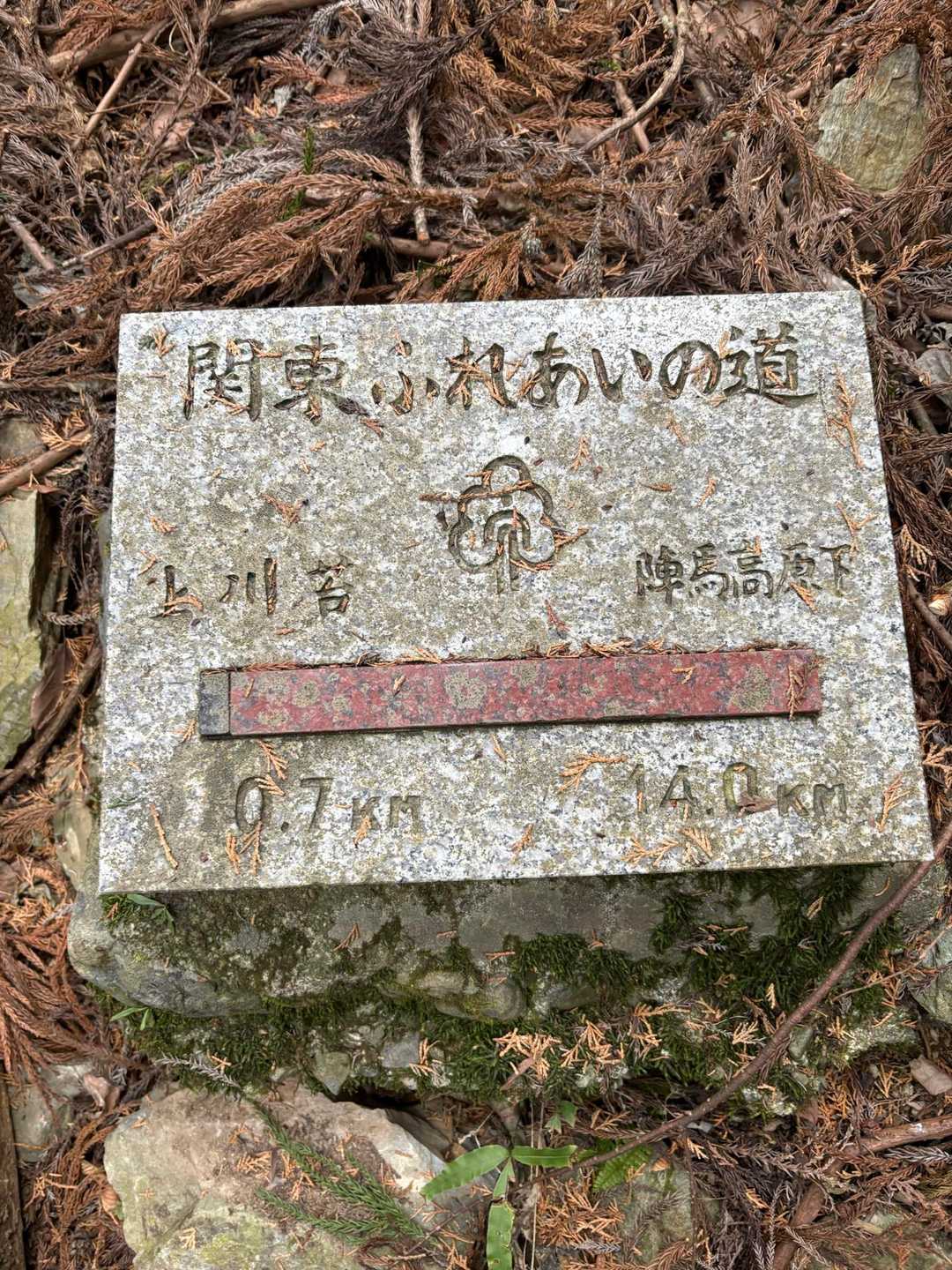 よく歩きました😊