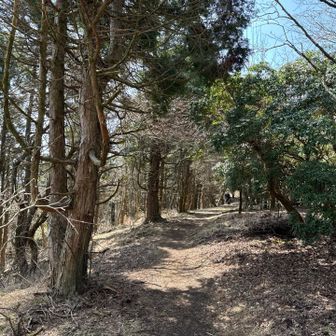 歩き易く涼しい道🎶