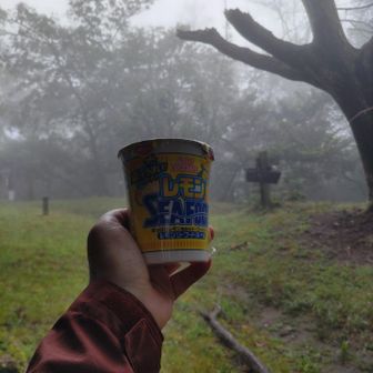 イロモノカップラーメン　レモン風味が爽やかだが　基本は普通のシーフードヌードル